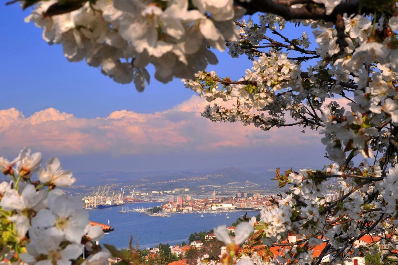 Razgled/the View Apartment Koper